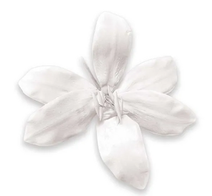Tiger Lily Gumpaste Cake Decoration