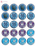 Age Sixteen Cupcake Toppers x12 The Cake Mixer