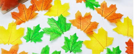 Maple Leaf Wafer Paper cut Outs x10