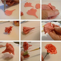 Stainless Steel Carnation Cutter Set. Fondant or Gumpaste