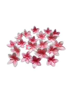 Handmade Frangipani Cake Decorations