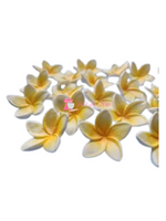 Handmade Frangipani Cake Decorations