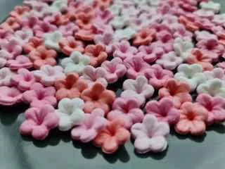 Plum Flower Edible Cake Decorations x30.