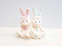 Beginner Fondant Modelling Class